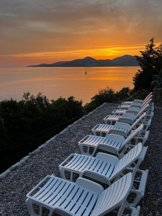 Vilena Apartmani Tivat Extérieur photo